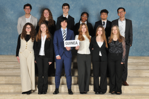 FAGler bei THIMUN in Den Haag!